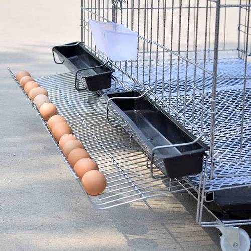 鸡笼子家用养鸡笼围栏大号养殖笼养自动滚蛋蛋鸡笼 带蛋托款套餐一 60
