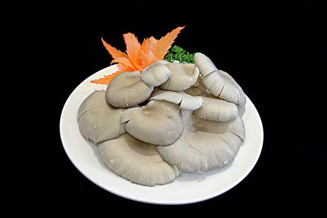 重庆火锅菜品-素菜类-平菇