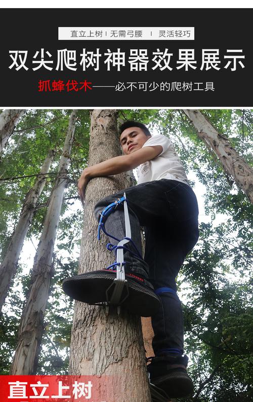爬树神器双尖直立爬树神器爬大树脚扎子防滑工具 安全型上树 双尖大拐