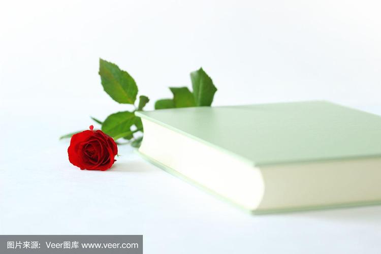 一朵红玫瑰和一本书
