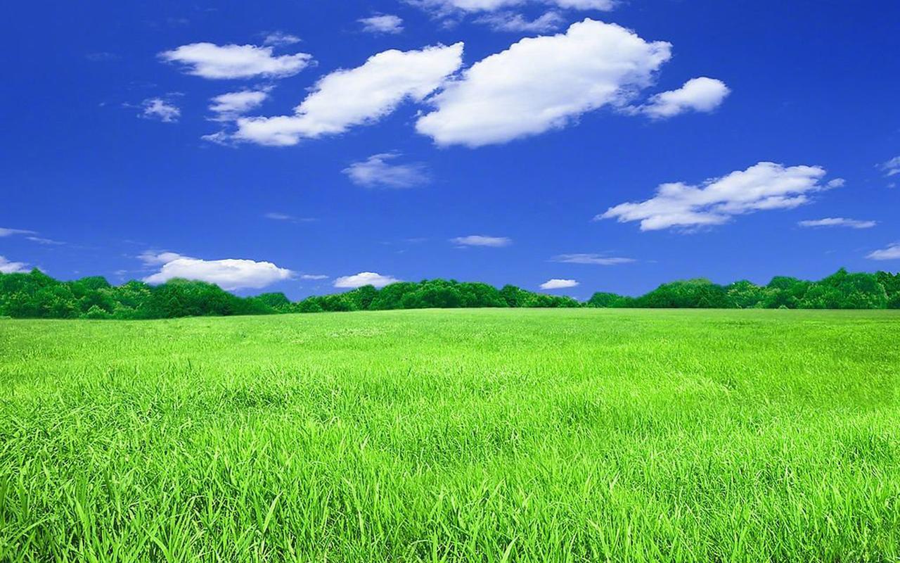清新护眼绿色草地风景图片桌面壁纸,风景壁纸,绿色,唯美,护眼,高清