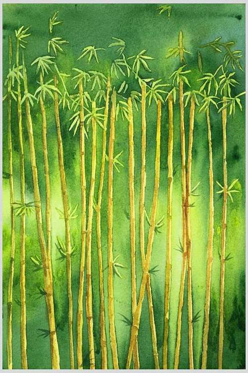 水彩竹林竹子边框矢量素材