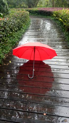 其它 红雨伞的等待撑一把红雨伞, 在雨中等待…… 风里落花谁是主?