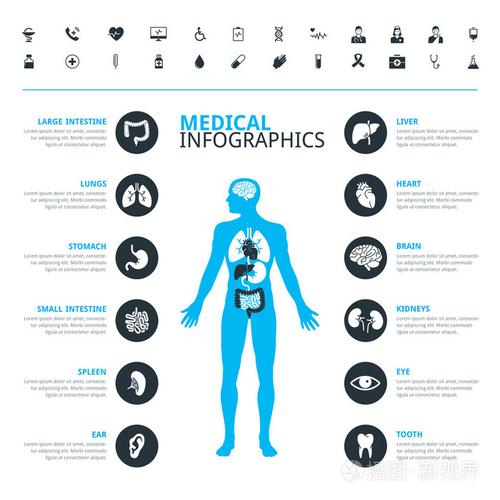 医学人体器官和医疗图标集与人体中蓝色