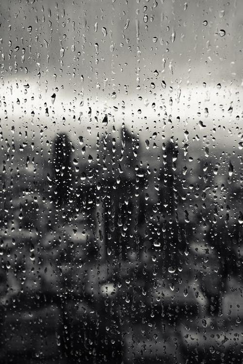 其它 雨天 写美篇今天下雨了,雨天的心情仿佛是自己的心情,有些清冷与