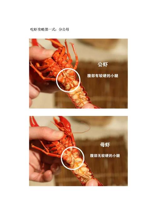 小龙虾吃法.doc