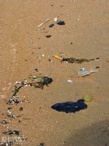 > 最近发现青岛大海被污染了