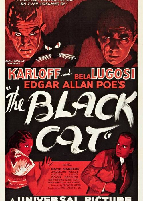黑猫(the black cat)-电影-腾讯视频