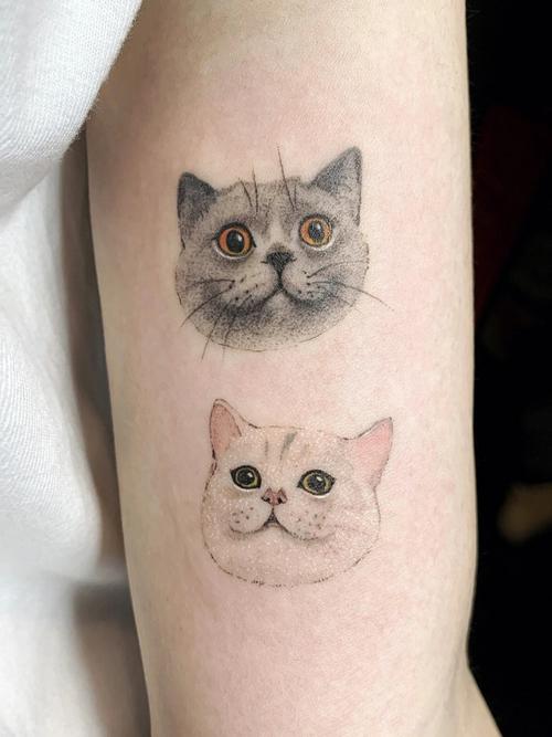 猫咪纹身要永远在一起哦