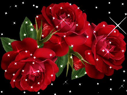 分享图片一大红色的玫瑰花