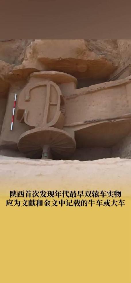 陕西首次发现年代最早双辕车实物应为文献和金文中记载的牛车或大车