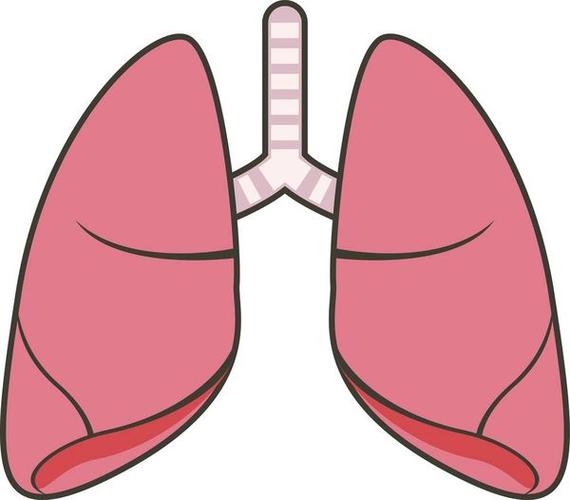 为什么吹气球对肺气肿有一定辅助作用呢?