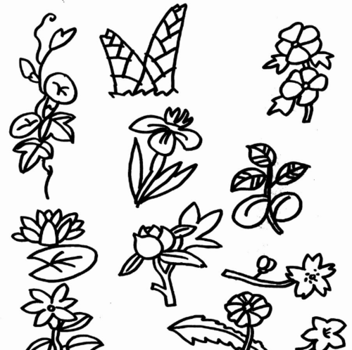 简笔画10种花各种花朵简笔画大全百合花简笔画一步一步教你画花 精彩