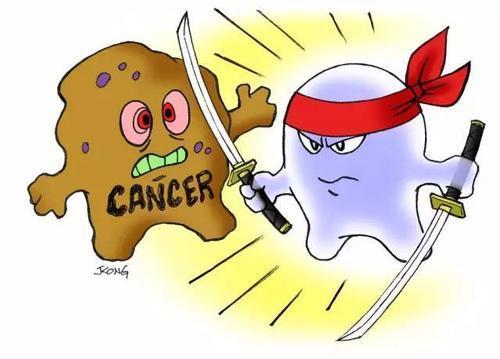 癌细胞简笔画细胞简笔画白细胞红细胞卡通简笔画细胞简笔画怎么画植物