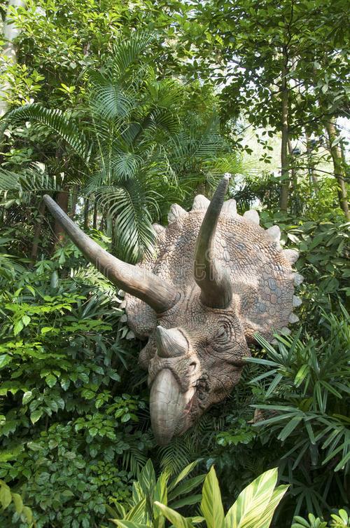 森林中的侏罗纪恐龙三角龙