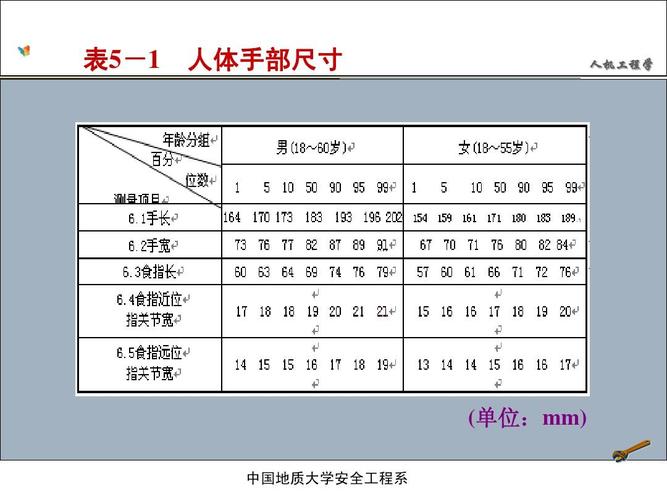 表5-1 人体手部尺寸 人机工程学 (单位:mm) 中国地质大学安全工程系