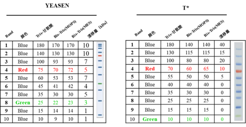 goldband 3-color regular range protein marker
