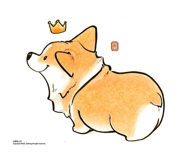 小肥基--柯基犬插画
