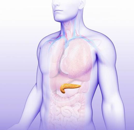查出胰腺癌能活多久 胰腺癌从发现一般能活多久