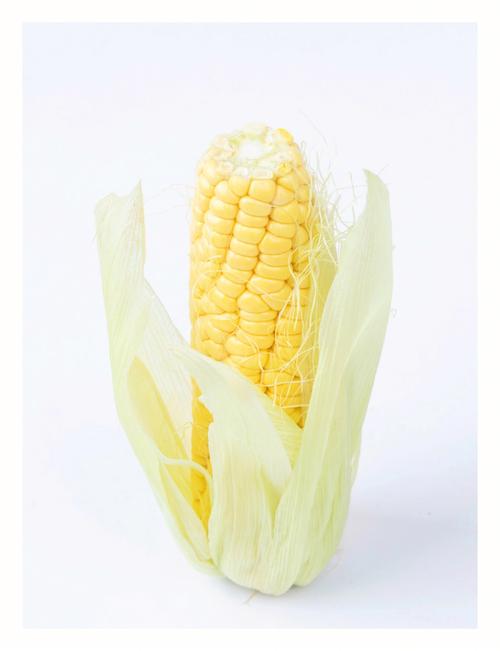 静物摄影丨玉米氛围感照片怎么拍