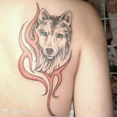 狼背部纹身图案大全 - 纹身大咖