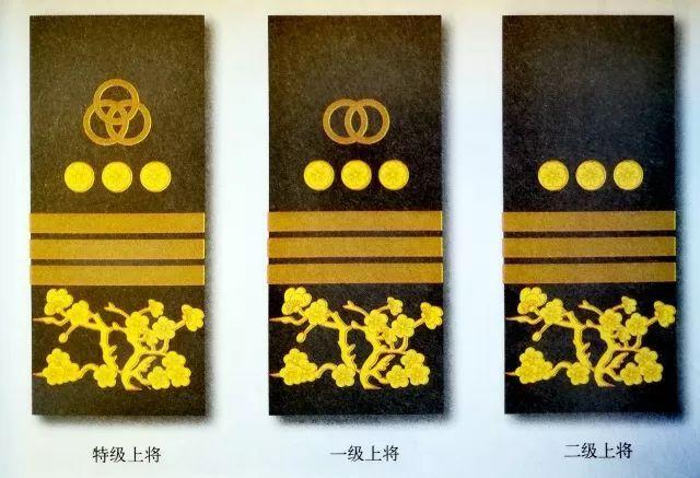 国民党军特级上将,一级上将,二级上将大礼服袖章.