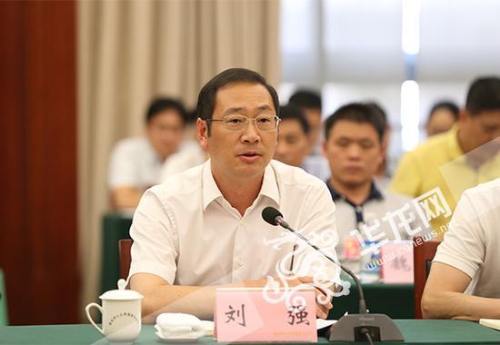 重庆市政府副市长刘强发言.记者 李裕锟 摄