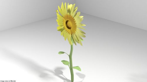花- 向日葵3d模型