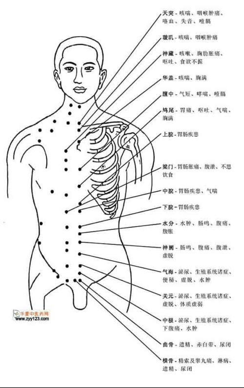 人体穴位经脉及对应疾病图