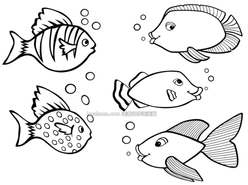 十二种不同的小鱼fish吐泡泡简笔画图片你要和我们一起来学习吗
