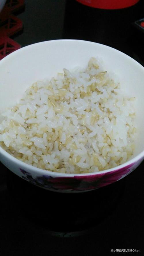小半碗黄糙米饭