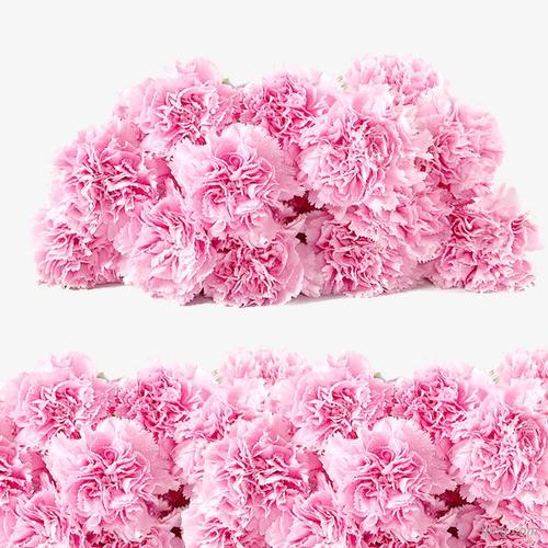 粉色花团高清真实花朵png素材透明免抠图片-动植人物