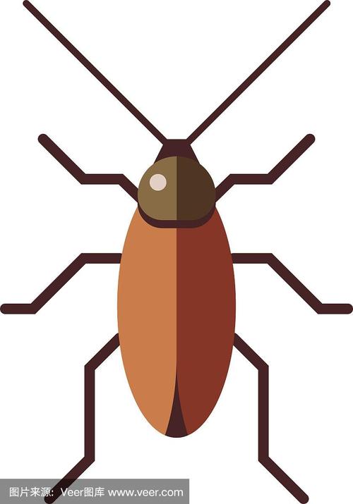 蟑螂肮脏棕害虫和恶心的蟑螂爬行虫卡通