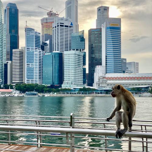 马卡克正在新加坡玛丽娜湾附近旅游他的照片非常震撼