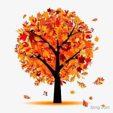 秋天落叶的树png素材透明免抠图片-动植人物
