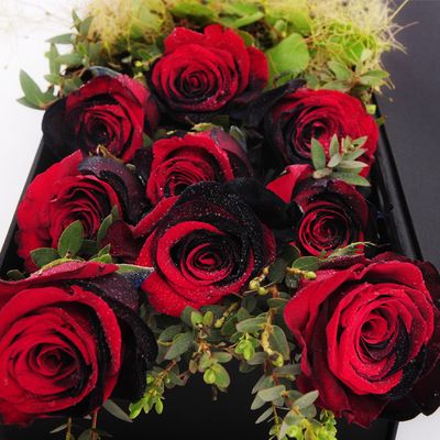缤朵花艺高端定制厄瓜多尔进口黑红渐变玫瑰礼盒情人节送女友花盒