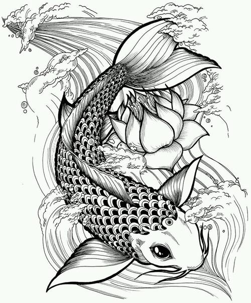 黑白线稿手绘装饰画鱼