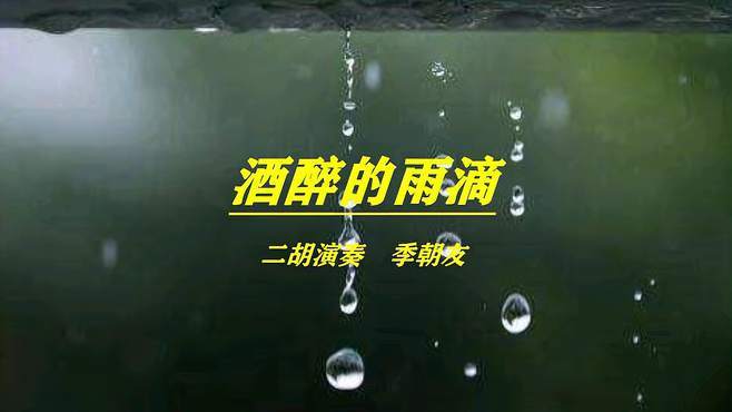 二胡演奏f6/3《酒醉的雨滴》季朝友-音乐视频-搜狐视频