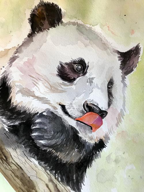 水彩熊猫
