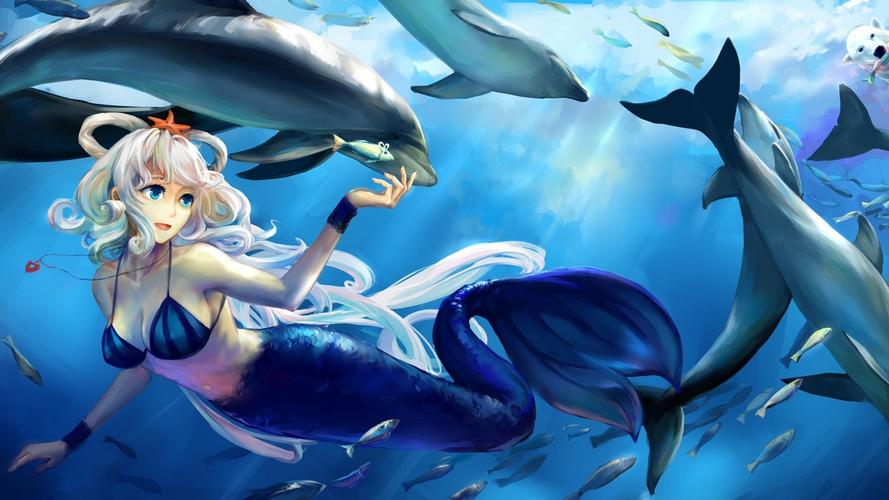 美人鱼,海底世界,海豚,鱼,动漫壁纸
