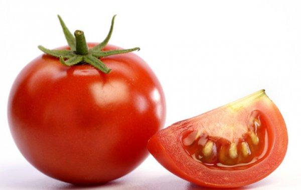 农种网 农业百科未成熟的番茄果实易感病,病斑圆形或近圆形,褐色,边缘