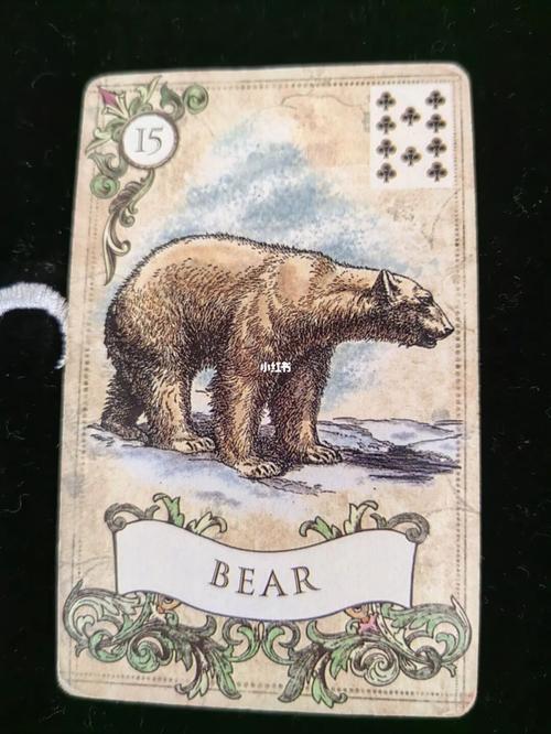雷诺曼卡牌15号牌牌意讲解熊