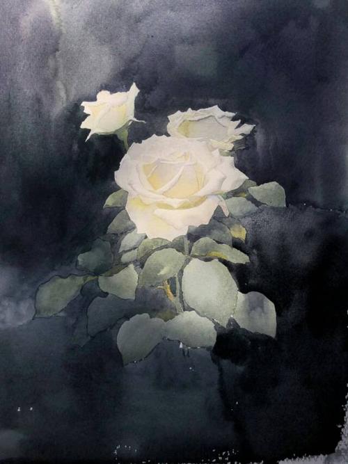 黄有维三朵白玫瑰