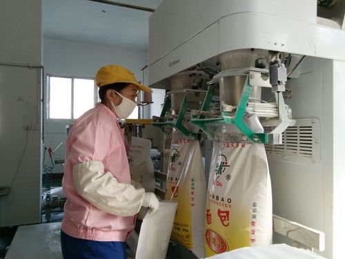 "民以食为天"――渤海大地幼儿园走进半球面粉厂之社会实践教育活动