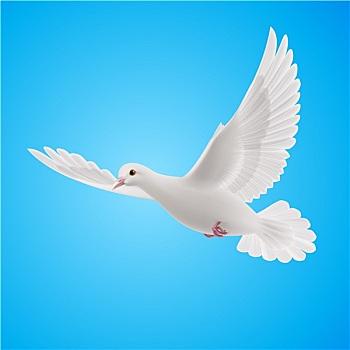 和平主义图片_和平主义图片大全_和平主义图片素材
