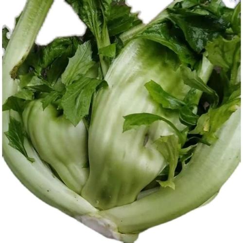 重庆农家新鲜包包菜榨菜可做咸菜泡菜应季蔬菜4斤8斤