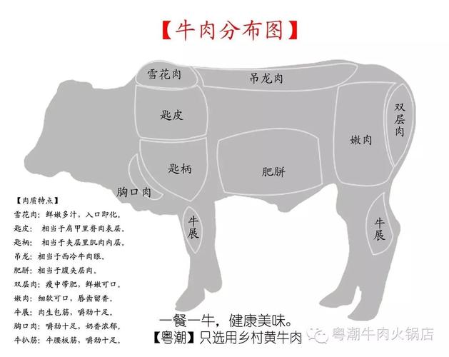 【雪花肉】鲜嫩多汁,入口即化,是牛肉中的极品【牛展】肉生包筋,嚼劲