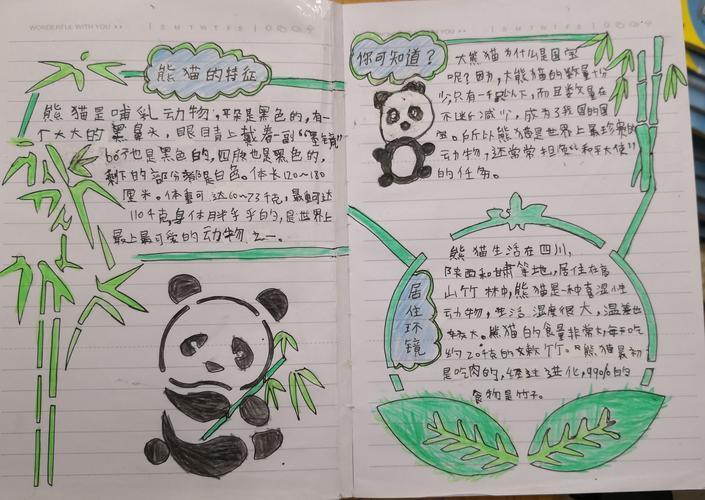 手抄报《熊猫》保护国宝大熊猫吃竹子动物小报手抄报电子小报word模板
