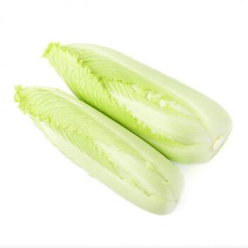 宁夏龙牙白菜包尖绍菜龙芽菜当季新鲜绿色蔬菜开水小白菜迷你白菜3斤
