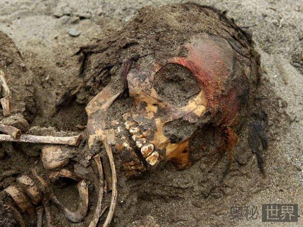 秘鲁发现800年前大量儿童骸骨